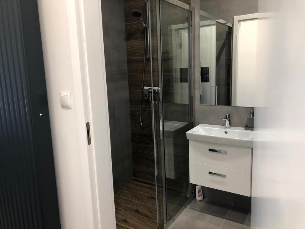 Apartamenty Dworcowa 45 Gliwice Exterior foto